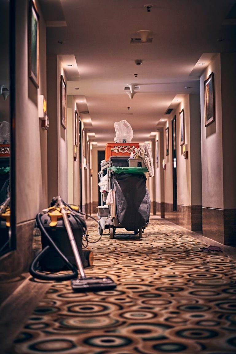 cleaning services cape town