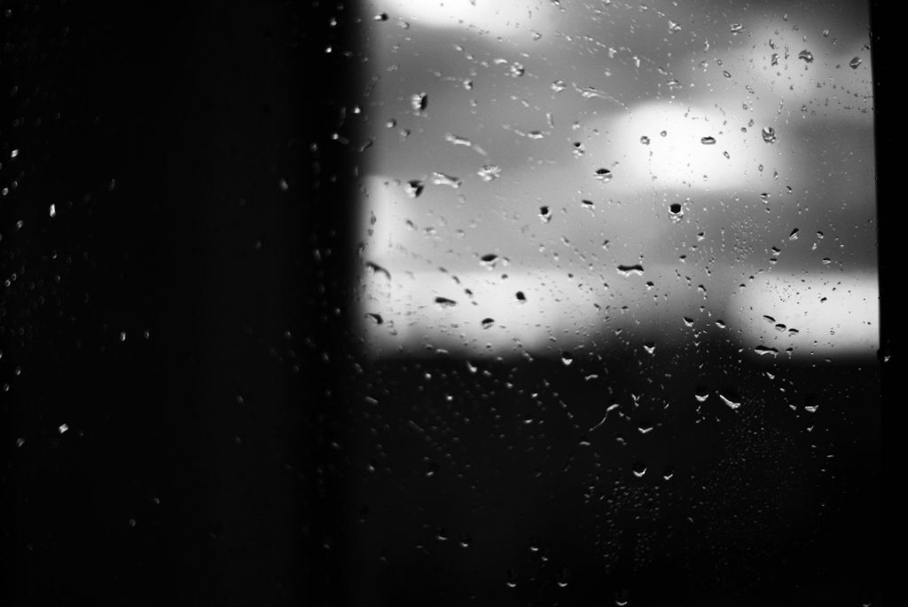 bird-droppings on-a-window-pane